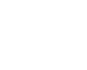 google my businss