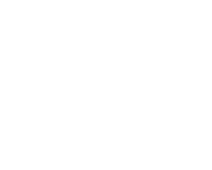 yoast seo